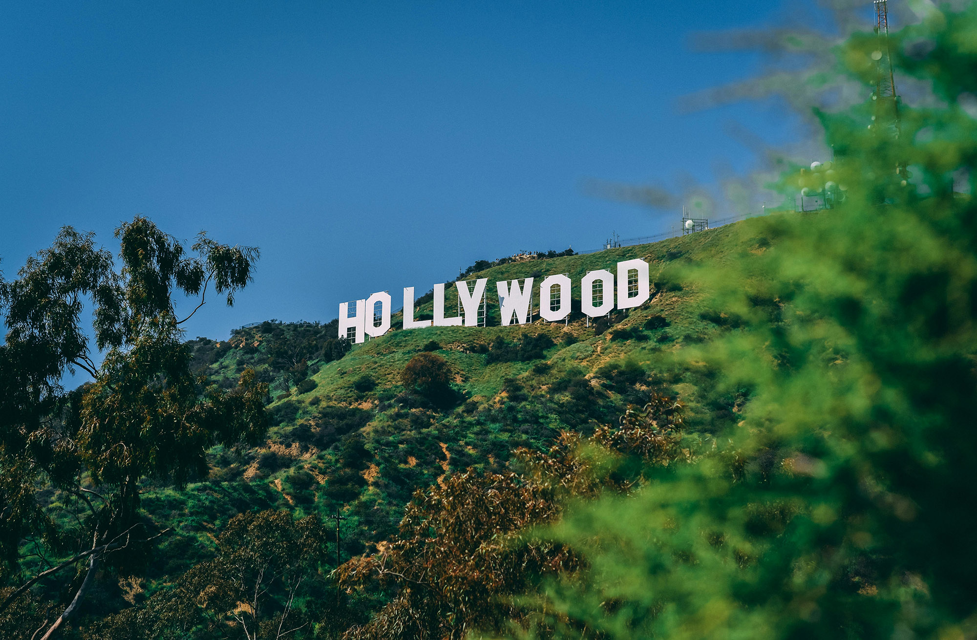 Hollywoodskylten byggdes som tillfällig men blev permanent.